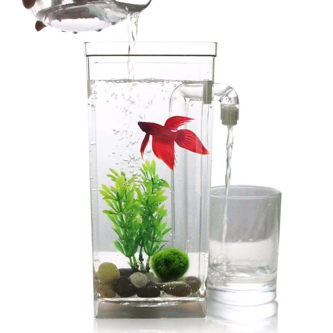 Betta Fish Tank - Faul Frei Wasser Ändern Desktop Aquarium