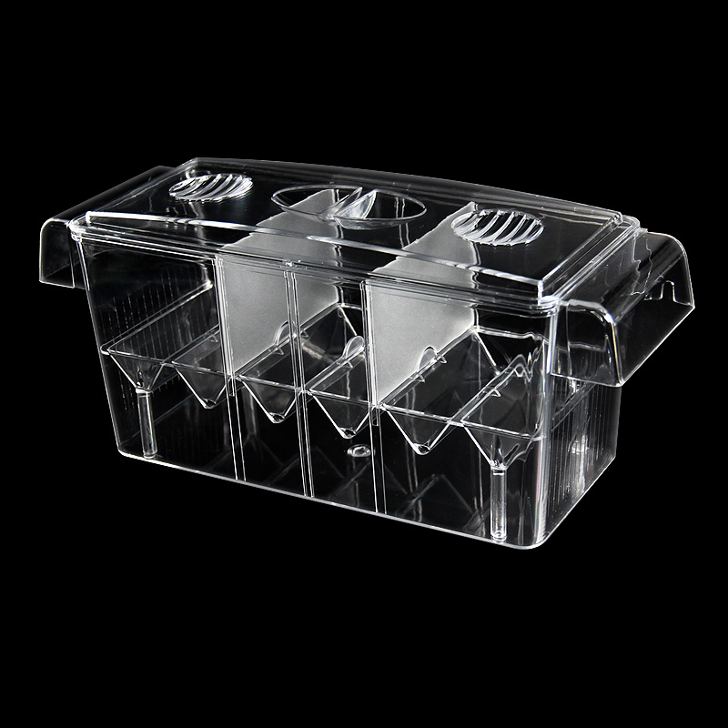 Klar Aquarium Aquarium Isolati – Aquarium Fish Betta Bewertung und Preis