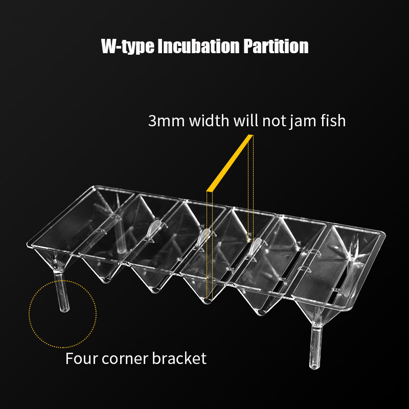 Klar Aquarium Aquarium Isolati – Aquarium Fish Betta Bewertung und Preis