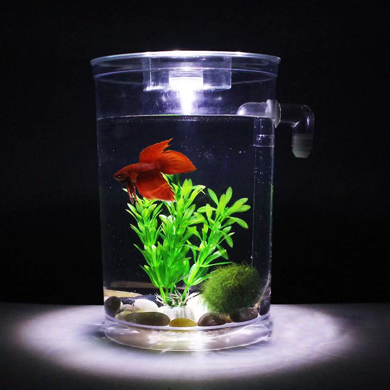 Faul Frei Wasser Ändern Deskto – Betta Fish Tank Bewertung und Preis