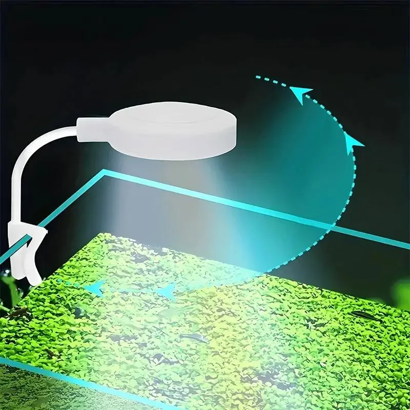 Aquariumlicht mit Adapter, LED – Aquarium Light Bewertung und Preis