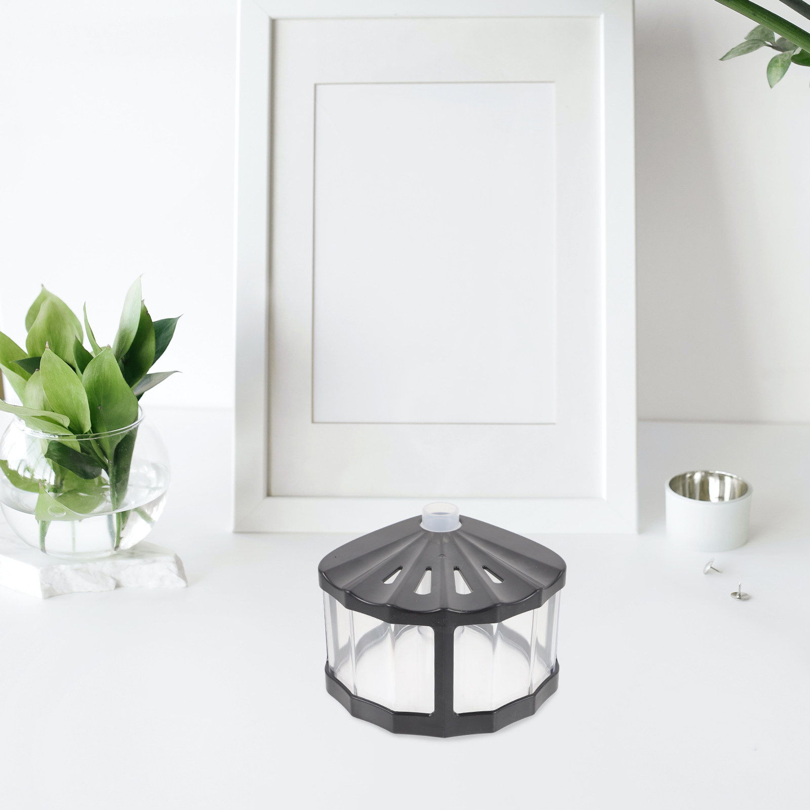 Mini-Aquarium, tragbarer, tran – Aquarium Fish Betta Bewertung und Preis