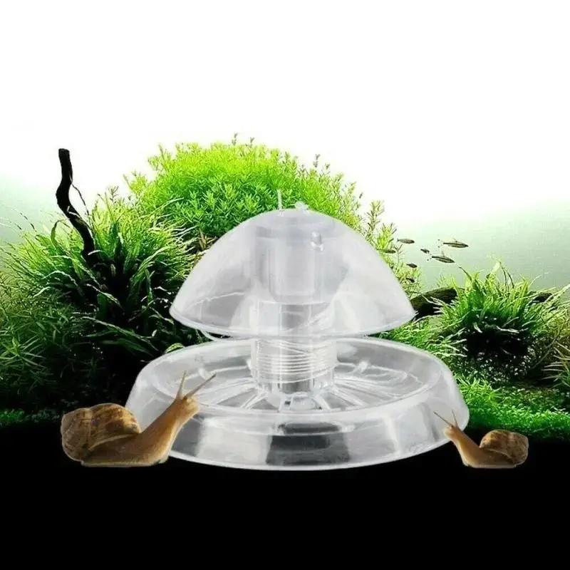 2026 Neu 6/8CM Klare Plastik-S – Fish Aquarium Home Bewertung und Preis