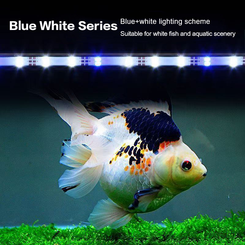 17-47CM USB Stecker Aquarium L – Aquarium Plants Bewertung und Preis