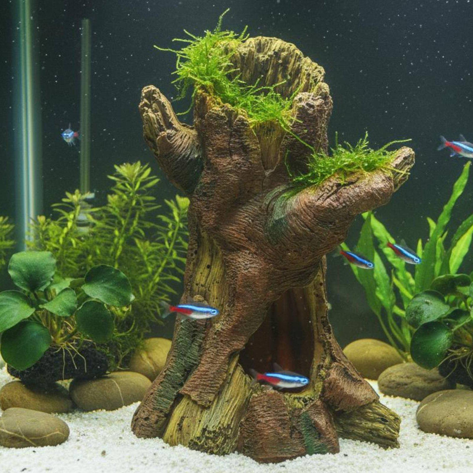 Aquarium-Dekoration: Harz-Baum – Aquarium Decor Bewertung und Preis