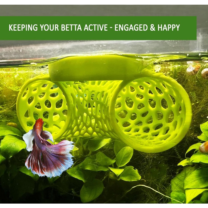 4 Stück schwimmende Betta-Tunn – Aquarium Fish Betta Bewertung und Preis
