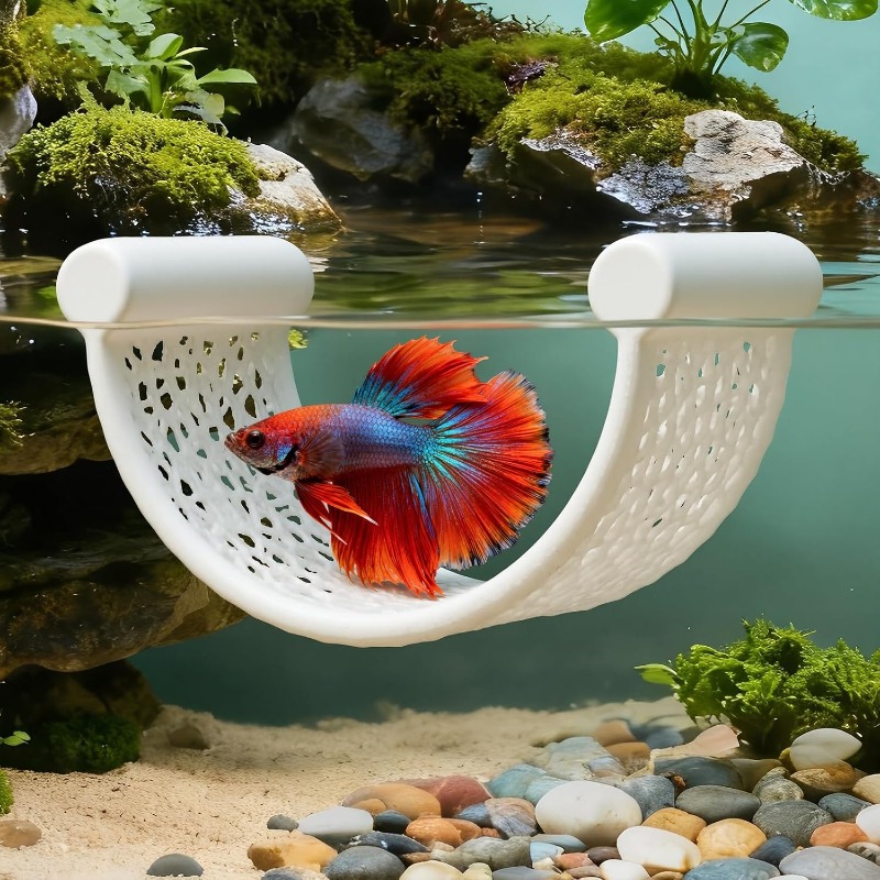 4 Stück schwimmende Betta-Tunn – Aquarium Fish Betta Bewertung und Preis