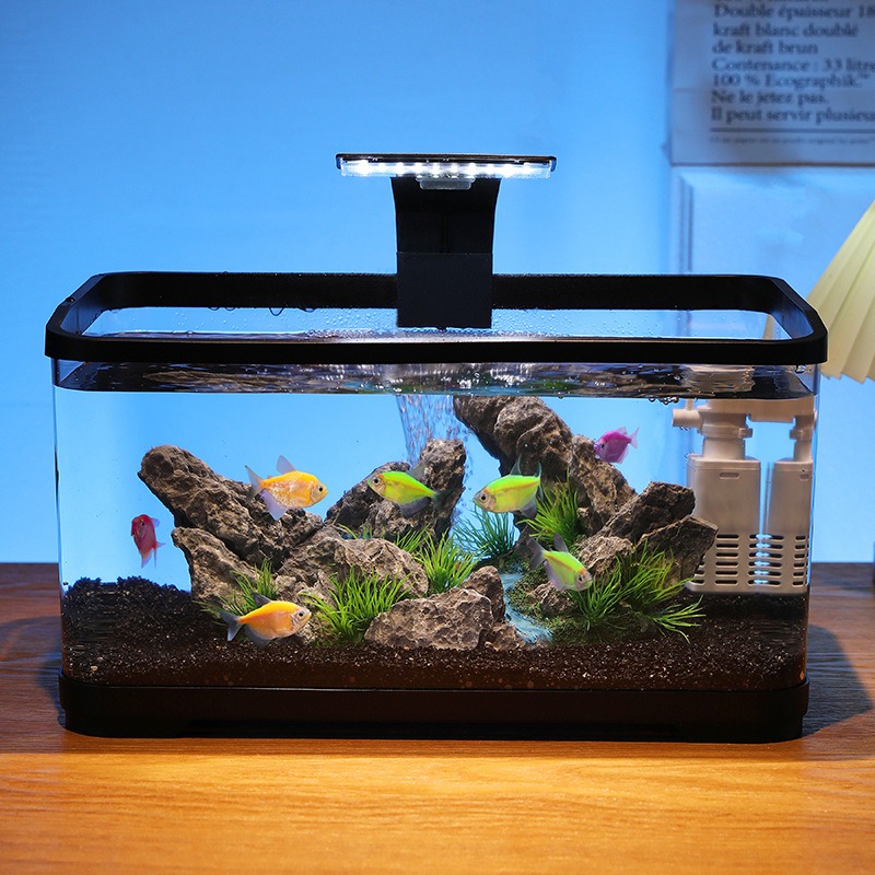 Desktop-Aquarium mit Zirkulati – Fish Tank Filter Bewertung und Preis