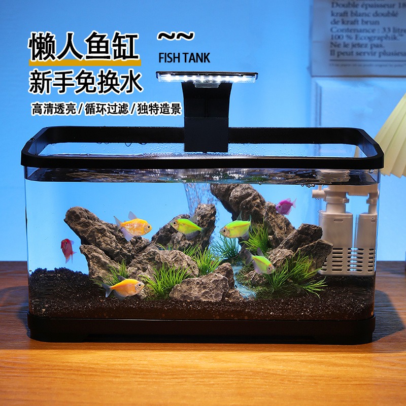 Desktop-Aquarium mit Zirkulati – Fish Tank Filter Bewertung und Preis