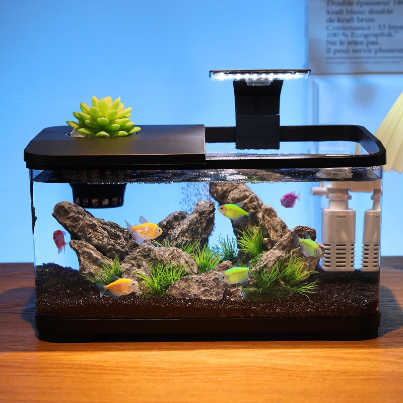 Desktop-Aquarium mit Zirkulati – Fish Tank Filter Bewertung und Preis