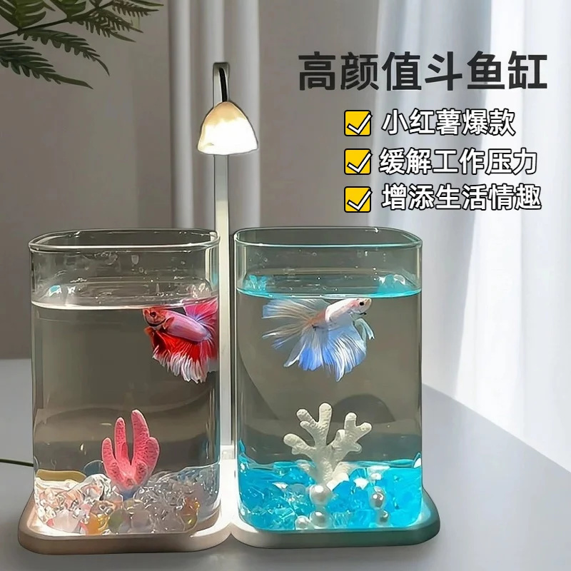 Mini Betta Fisch Glas Tank Des – Betta Fish Tank Bewertung und Preis