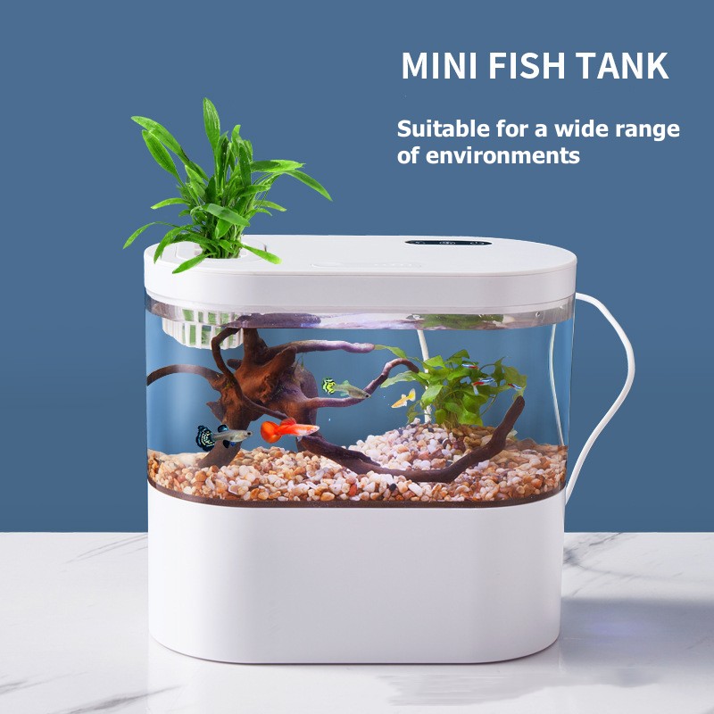 Kreatives Mini-Desktop-Aquariu – Aquarium Fish Betta Bewertung und Preis