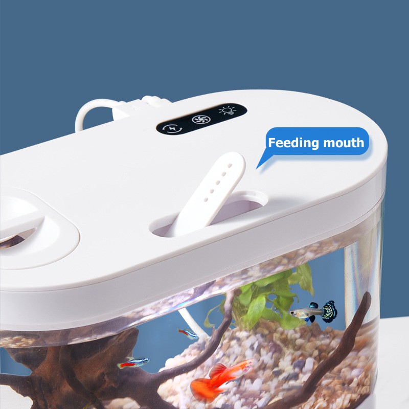 Kreatives Mini-Desktop-Aquariu – Aquarium Fish Betta Bewertung und Preis