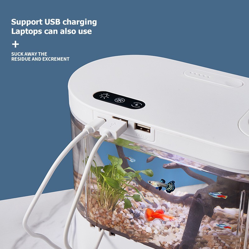 Kreatives Mini-Desktop-Aquariu – Aquarium Fish Betta Bewertung und Preis