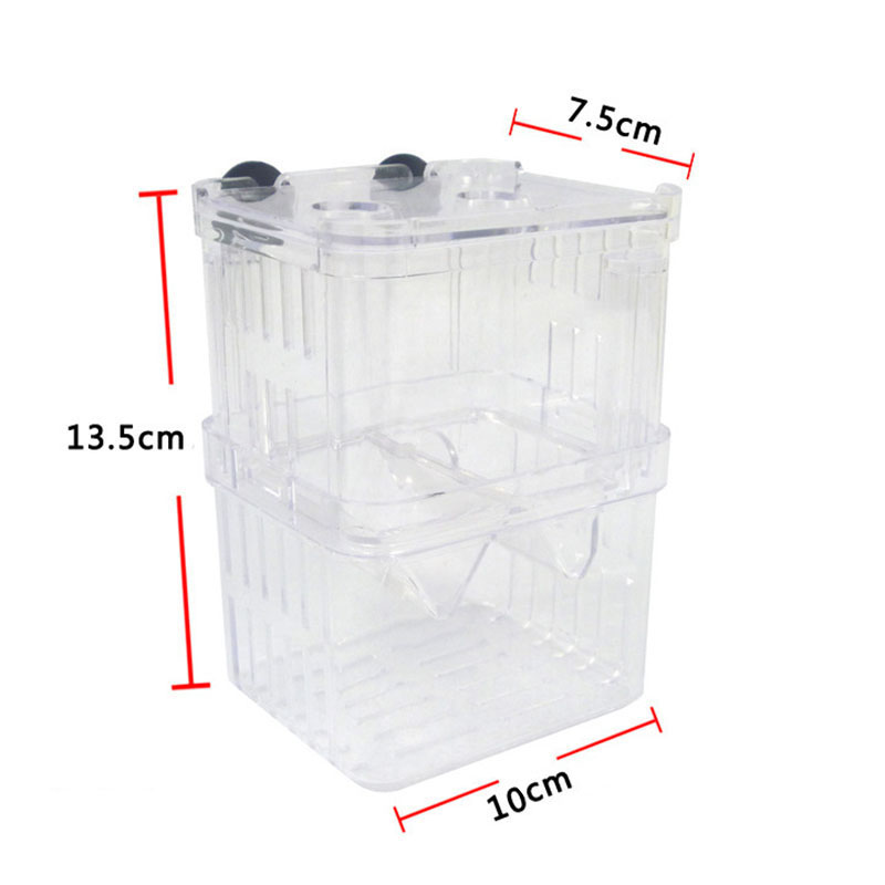 Pfau Fisch Zucht Isolation Box – Aquarium Fish Betta Bewertung und Preis