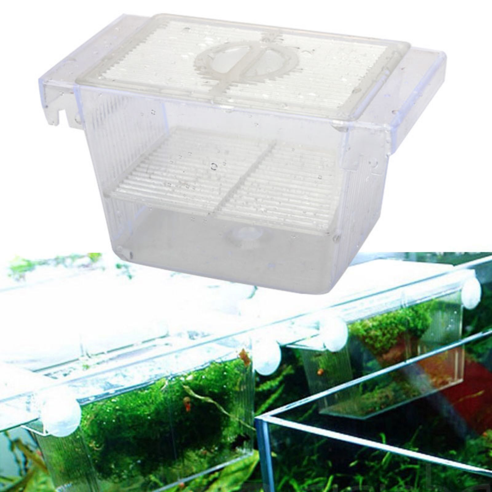 Fischzuchtbox für Aquarien, Tr – Betta Fish Tank Bewertung und Preis